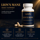 Legacy Lion